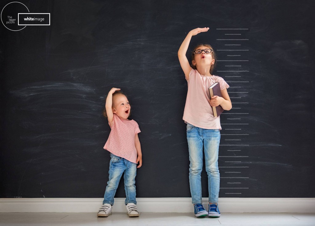 baze de date newsletter